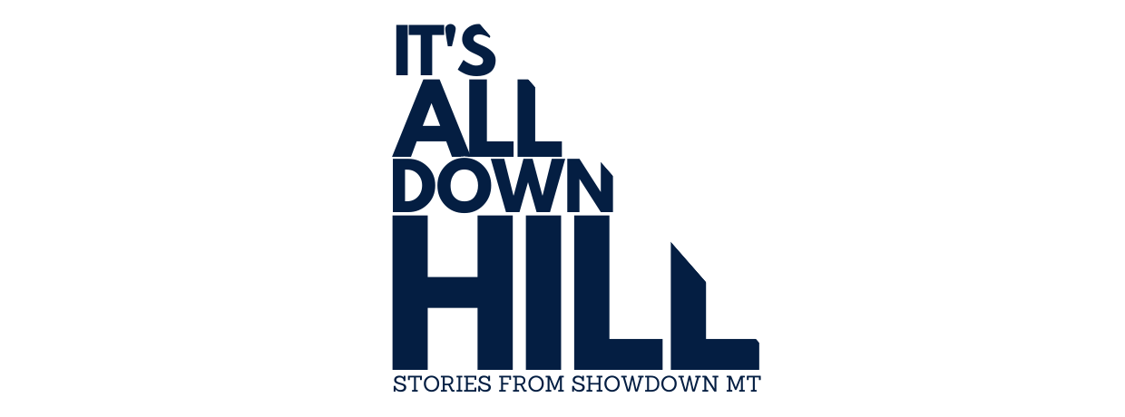 its all down hill blog logo